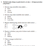 7 Rahasia Latihan Soal PAS Kelas 2 SD yang Terbukti Bikin Anak Makin Cerdas dan Percaya Diri 7 Rahasia Latihan Soal PAS Kelas 2 SD yang Terbukti Bikin Anak Makin Cerdas dan Percaya Diri