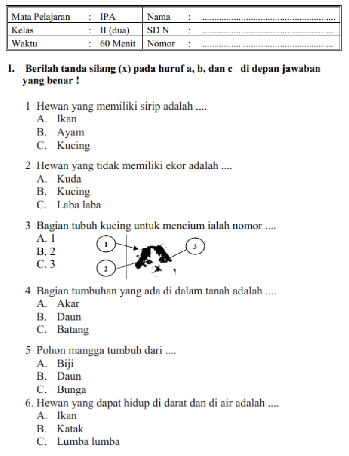 7 Rahasia Latihan Soal PAS Kelas 2 SD yang Terbukti Bikin Anak Makin Cerdas dan Percaya Diri