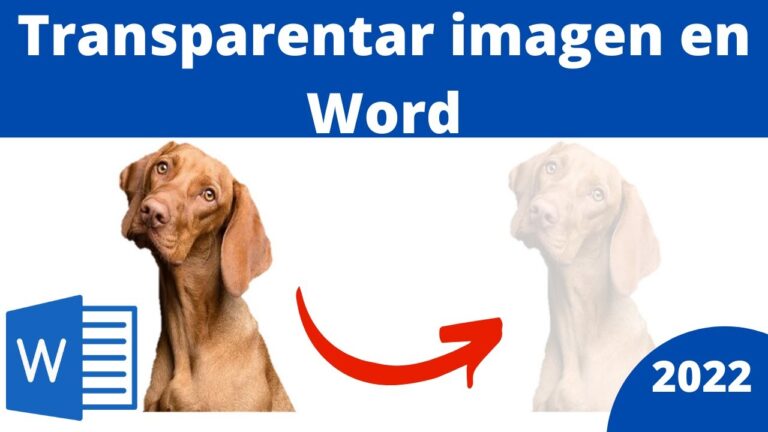 Bagaimana cara membuat gambar Word menjadi transparan
