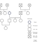 5 Langkah Mudah Cara Membuat Genogram di Word, Wajib Tahu