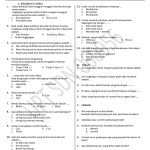 5 Modul Bimbel Brilian Rahasia Sukses Soal PTS Kelas 3 Semester 2 Tema 6